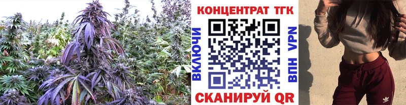 наркота  гидра   маркетплейс наркотические препараты  Коряжма  ТГК жижа 