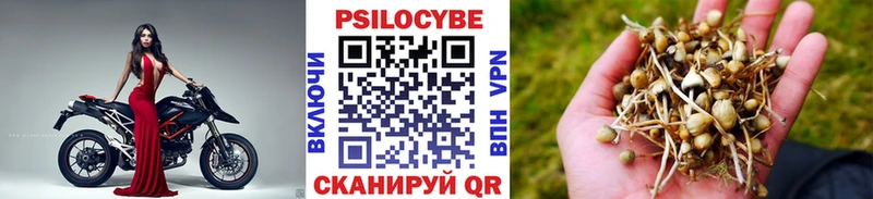 Галлюциногенные грибы Psilocybine cubensis  нарко площадка клад  Коряжма 